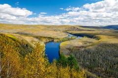 The Blue River And Autumn Forests In Great Khingan Royalty Free Stock Photos