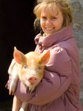 The Girl And Pig Stock Photography