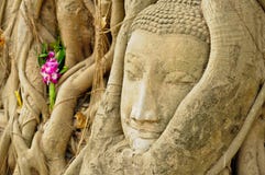 The Head Of The Sandstone Buddha Royalty Free Stock Photos The Head Of The Sandstone Buddha Royalty Free Stock Photos