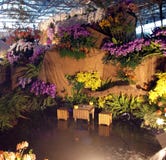 The International Orchid Show In Taiwan The International Orchid Show In Taiwan