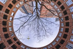 The Loneliness Of A Tree Dying In The City Stock Photos The Loneliness Of A Tree Dying In The City Stock Photos