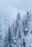 The Mountains In The Winter Royalty Free Stock Photography
