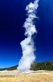 The Old Faithful Geyser In Yellowstone Royalty Free Stock Photos