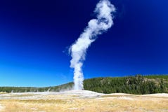 The Old Faithful Geyser In Yellowstone Royalty Free Stock Images The Old Faithful Geyser In Yellowstone Royalty Free Stock Images