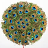 The Peacock Fan Stock Photo