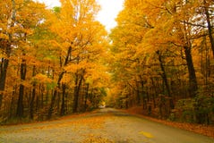 The Road Into The Fall Stock Image The Road Into The Fall Stock Image