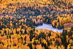 The Trees In Autumn Royalty Free Stock Photo The Trees In Autumn Royalty Free Stock Photo