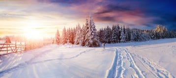 The Winter Road Royalty Free Stock Photography The Winter Road Royalty Free Stock Photography