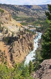 The Yellowstone River In Yellowstone NP Stock Image