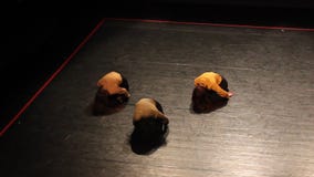 Theater - Frauen auf dem Stadium Theater - Frauen auf dem Stadium