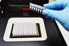 Thermocycler för DNA- och PCR-prov arkivbilder Thermocycler för DNA- och PCR-prov arkivbilder