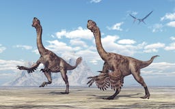 citipati dinosaur