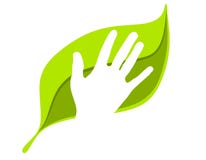 Think Green Human Hand on Leaf