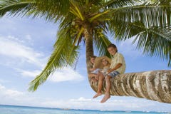 Three Children On Palm Tree Stock Photo