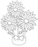 Three Flowers Stock Photography Three Flowers Stock Photography