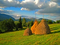 Three Haystacks in a Field stock photo Three Haystacks in a Field stock photo