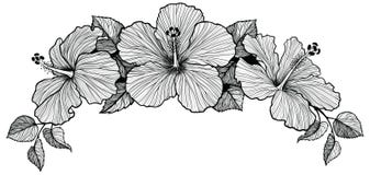 Three Hibiscus Flower Bouquet Stock Photography Three Hibiscus Flower Bouquet Stock Photography