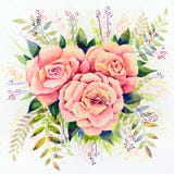 Original watercolor - three pink roses with leaves on a white background stock illustration Original watercolor - three pink roses with leaves on a white background stock illustration