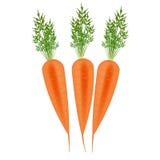 Three Orange Carrots Stock Images Three Orange Carrots Stock Images