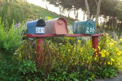 Three postboxes on a red bank in the nature of New Zealand stock image Three postboxes on a red bank in the nature of New Zealand stock image