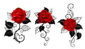 Three Red Roses For Tattoo Stock Image
