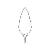 Thuja Het zwarte pictogram van de Boom Reeks van silhouet van boompictogrammen Van de de Premiekwaliteit van Webpictogrammen het stock illustratie Thuja Het zwarte pictogram van de Boom Reeks van silhouet van boompictogrammen Van de de Premiekwaliteit van Webpictogrammen het stock illustratie