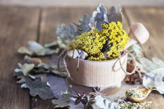 Thé de fines herbes Tansy sec de plante médicinale dans un mortier en bois, des glands et des feuilles de chêne avec de la cannel photographie stock Thé de fines herbes Tansy sec de plante médicinale dans un mortier en bois, des glands et des feuilles de chêne avec de la cannel photographie stock