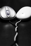 Tied together. Two computer mouse cords tied together stock images Tied together. Two computer mouse cords tied together stock images