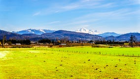Tierras de labrantío cerca del dique de Matsqui en las ciudades de Abbotsford y de la misión en Columbia Británica, Canadá imagenes de archivo Tierras de labrantío cerca del dique de Matsqui en las ciudades de Abbotsford y de la misión en Columbia Británica, Canadá imagenes de archivo