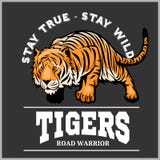 Tiger attack - sport mascot style Stock Photo Tiger attack - sport mascot style Stock Photo