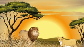 Tigre et lion illustration stock Tigre et lion illustration stock