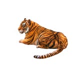 Tigre que coloca a vista afastado imagens de stock royalty free Tigre que coloca a vista afastado imagens de stock royalty free