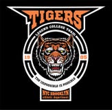 Tigres de la mascota - plantilla del logotipo del equipo de deporte libre illustration Tigres de la mascota - plantilla del logotipo del equipo de deporte libre illustration