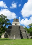 Tikal Pyramid 2 royalty free stock photography Tikal Pyramid 2 royalty free stock photography
