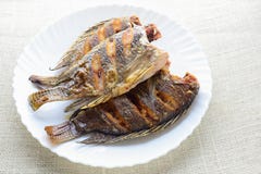 Τσιγαρισμένα Tilapia ψάρια στοκ φωτογραφίες με δικαίωμα ελεύθερης χρήσης Τσιγαρισμένα Tilapia ψάρια στοκ φωτογραφίες με δικαίωμα ελεύθερης χρήσης