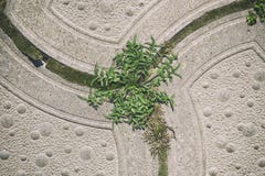 Tiles on grass, wallpaper stock images Tiles on grass, wallpaper stock images