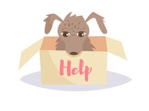 Tillfällig hund i en ask vektor cartoon isolerat royaltyfri illustrationer Tillfällig hund i en ask vektor cartoon isolerat royaltyfri illustrationer