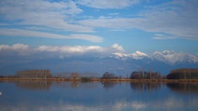 Timelapse av den västra sjön i Viverone Italien Timelapse av den västra sjön i Viverone Italien