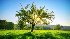 Timelapse idylliczna wiejska scena Timelapse idylliczna wiejska scena