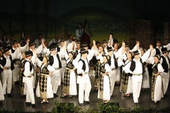 TIMISOARA, РУМЫНИЯ 12 10 2014 румынских танцора в традиционном костюме, выполняют традиционный танец folkore стоковая фотография rf TIMISOARA, РУМЫНИЯ 12 10 2014 румынских танцора в традиционном костюме, выполняют традиционный танец folkore стоковая фотография rf