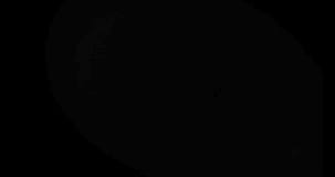 Tinta abstracta del negro de la forma del movimiento de la brocha que salpica fluir y lavarse en el fondo de pantalla del verde d Tinta abstracta del negro de la forma del movimiento de la brocha que salpica fluir y lavarse en el fondo de pantalla del verde d