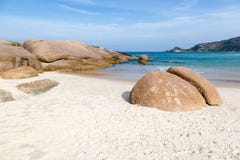 Tiri la talpa in secco (talpa della Praia) in Florianopolis, Santa Catarina, Brasile immagine stock libera da diritti Tiri la talpa in secco (talpa della Praia) in Florianopolis, Santa Catarina, Brasile immagine stock libera da diritti
