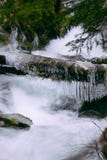 Tiro bonito de um rio com uma corrente forte e um início de uma sessão congelado uma floresta durante o inverno imagens de stock royalty free Tiro bonito de um rio com uma corrente forte e um início de uma sessão congelado uma floresta durante o inverno imagens de stock royalty free