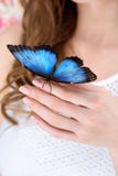 tiro cosechado de la mujer con la mariposa azul imágenes de archivo libres de regalías tiro cosechado de la mujer con la mariposa azul imágenes de archivo libres de regalías