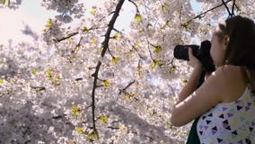 Tiro da menina da jovem mulher que toma o dslr da câmera das imagens video estoque Tiro da menina da jovem mulher que toma o dslr da câmera das imagens video estoque