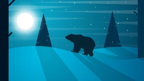 Tlandscape liso dos desenhos animados Ilustração do urso Abeto, floresta, lua, névoa, nuvem, neve, inverno ilustração royalty free Tlandscape liso dos desenhos animados Ilustração do urso Abeto, floresta, lua, névoa, nuvem, neve, inverno ilustração royalty free