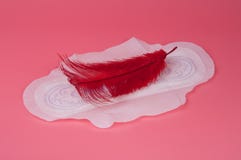 toalha ou almofada médica do algodão por dias críticos das mulheres no rosa fotografia de stock toalha ou almofada médica do algodão por dias críticos das mulheres no rosa fotografia de stock
