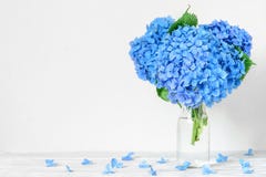 Todavía vida con un ramo hermoso de flores azules de la hortensia con descensos del agua fondo del día de fiesta o de la boda foto de archivo libre de regalías Todavía vida con un ramo hermoso de flores azules de la hortensia con descensos del agua fondo del día de fiesta o de la boda foto de archivo libre de regalías