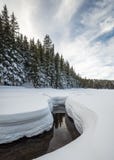 Todd Creek dichtbij Todd Lake in de Winter, het Nationale Bos van Deschutes, stock fotografie Todd Creek dichtbij Todd Lake in de Winter, het Nationale Bos van Deschutes, stock fotografie