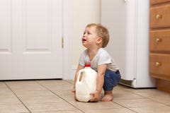 Toddler Trying To Lift Up Gallon Of Milk. Copy Space Stock Images